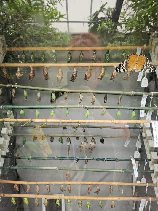 Why Making Art Is Better Than Scrolling: Rediscovering the Joy of Doing - Birdy & Bright