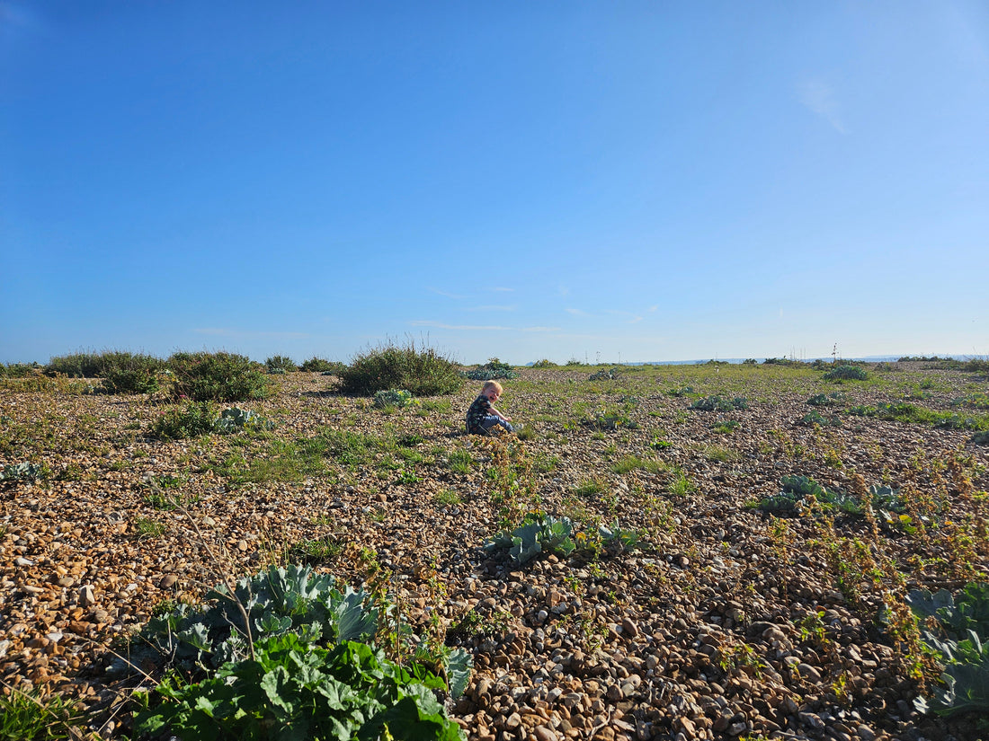 The Pause Before You Begin: How Stillness Sparks Creativity - Birdy & Bright