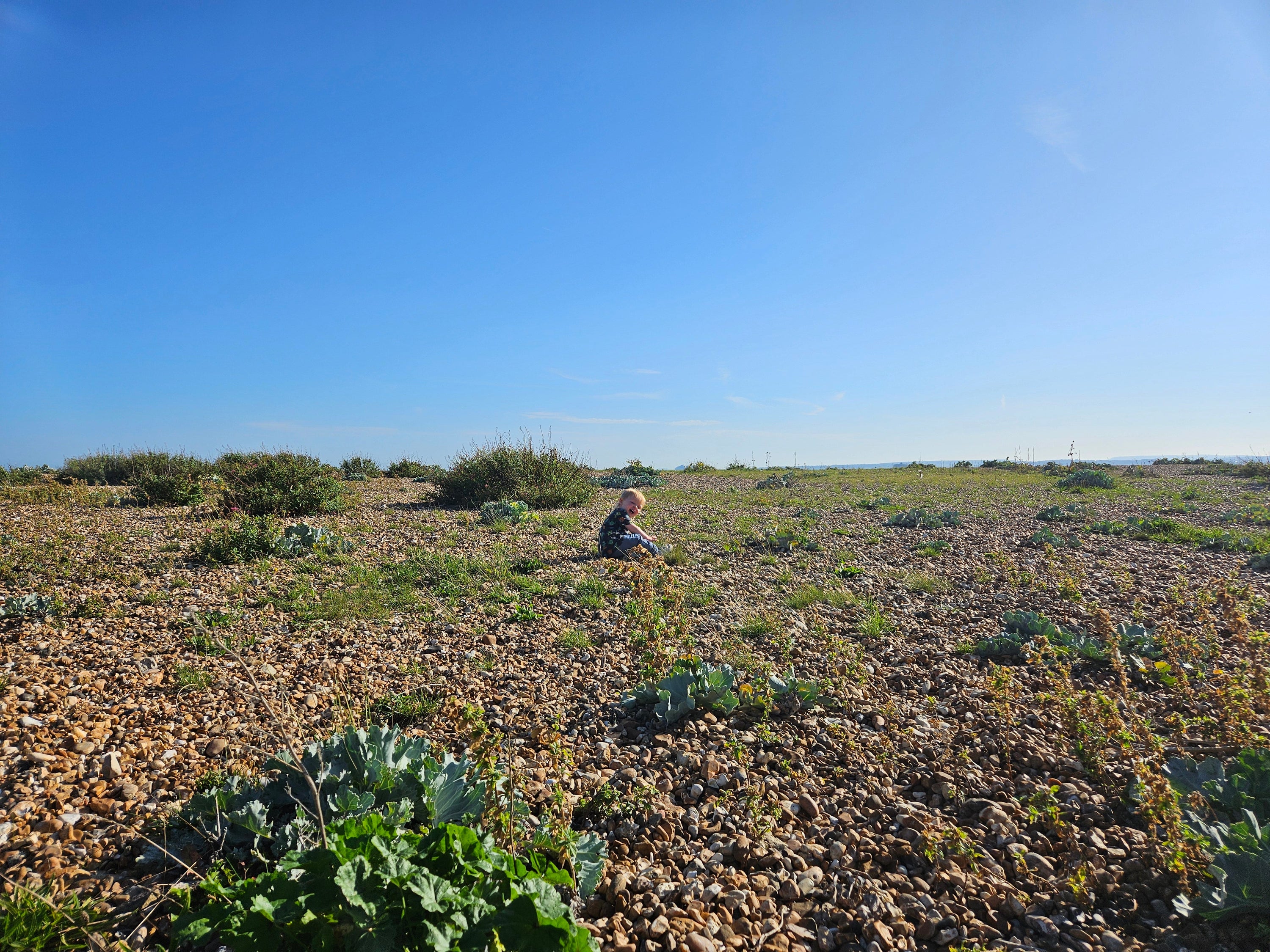 The Pause Before You Begin: How Stillness Sparks Creativity