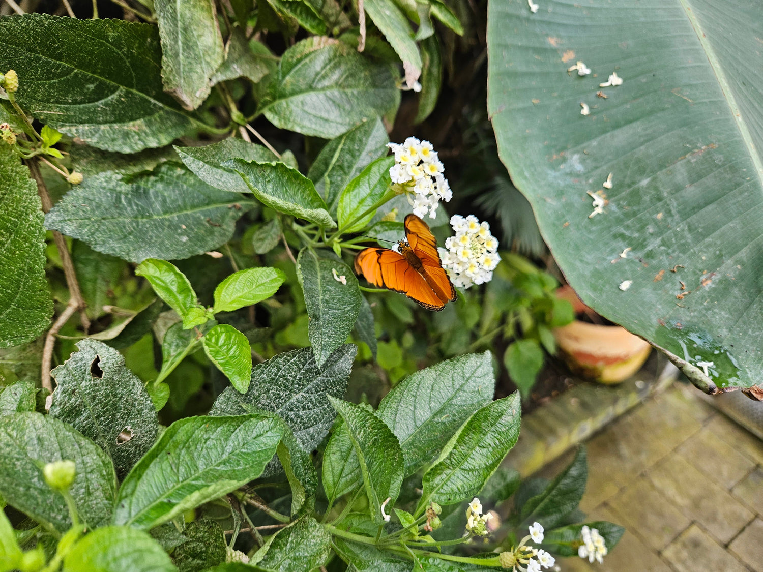 The Power of Play: Reconnecting with Your Inner Child Through Art - Birdy & Bright