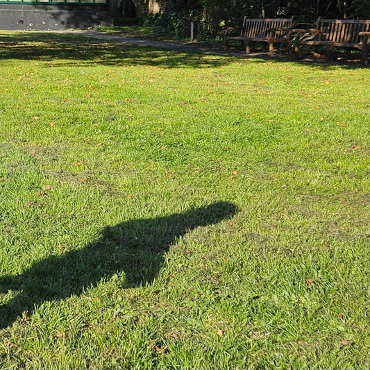 Creative Rituals for Grounding and Balance - Birdy & Bright