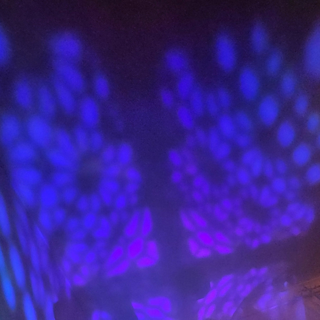 Turning Stress into Art: How to Let Go Through Creative Expression - Birdy & Bright