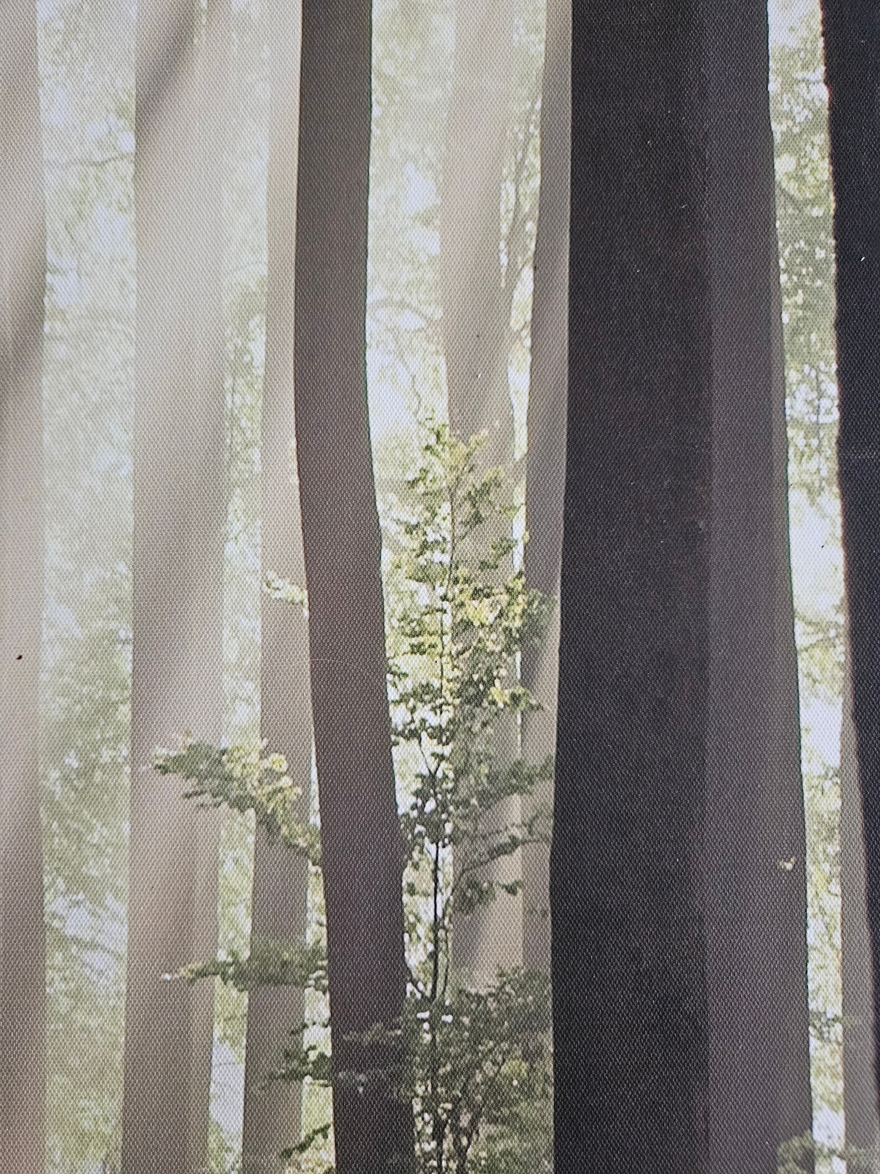 Creating Calm: 7 Simple Rituals for a More Peaceful Mind