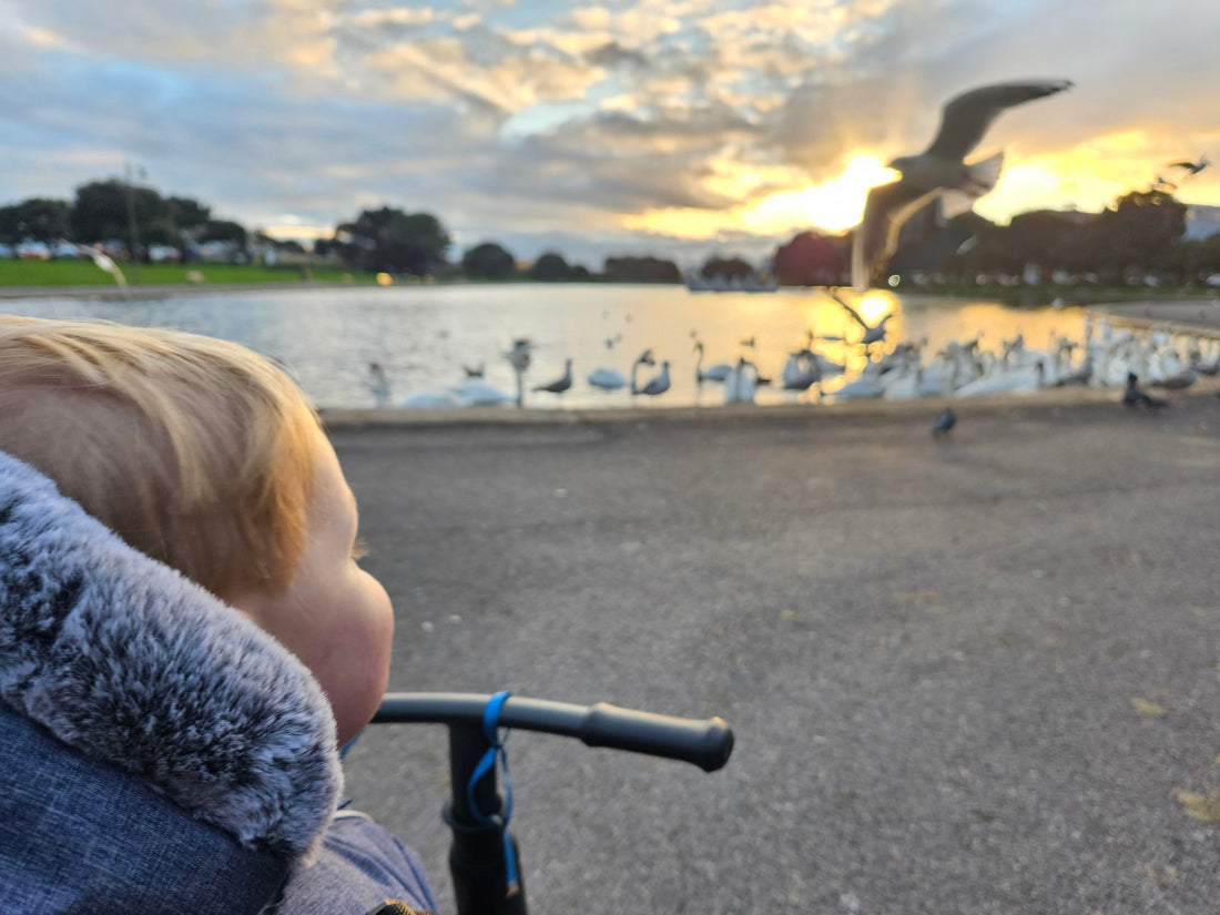 Mind Over Matter: How Your Inner World Shapes Your Outer Reality - Birdy & Bright