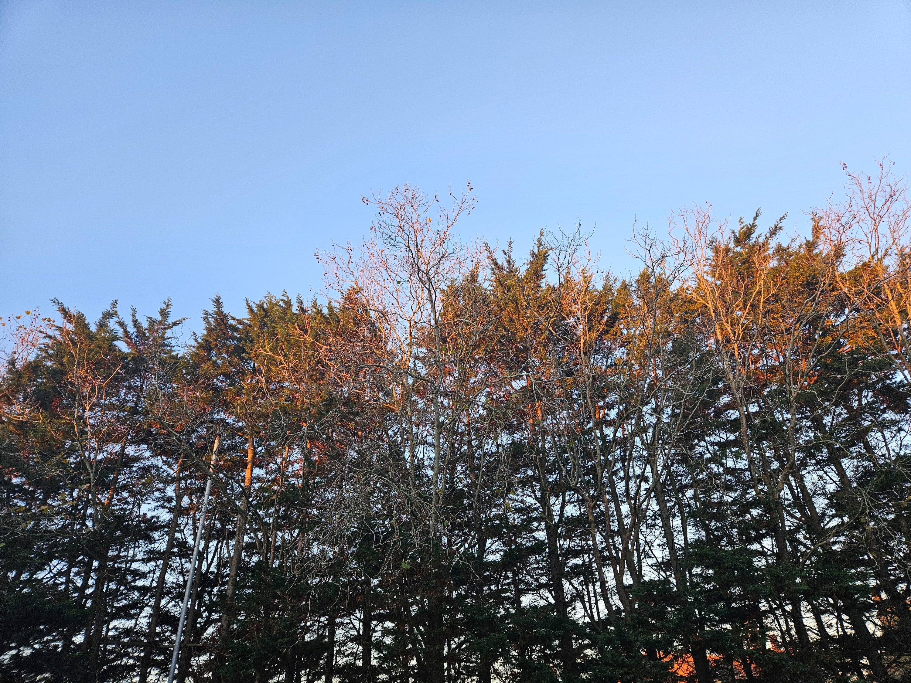 We Rise Together: How Caring for Your Mind Helps Everyone Around You - Birdy & Bright