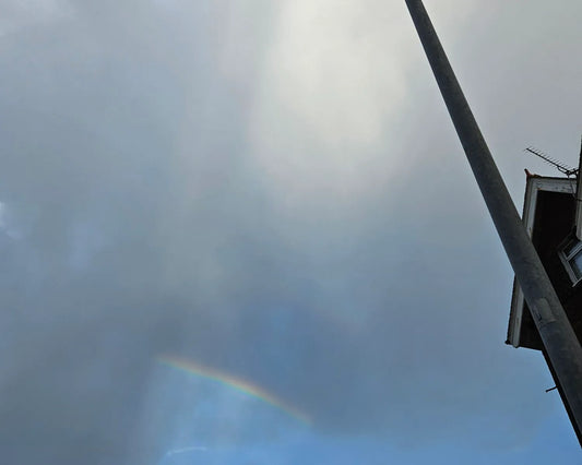 Greys and Blues are Beautiful - Birdy & Bright