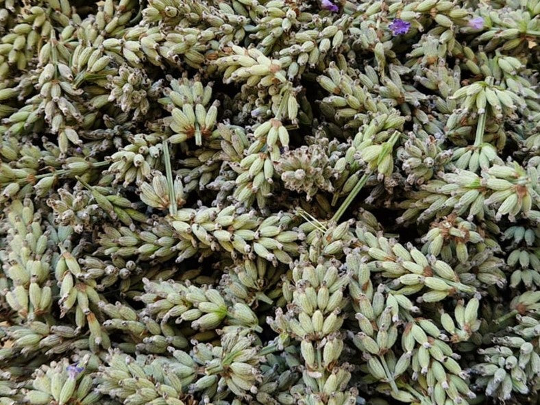 Tips for Managing Stress - Birdy & Bright