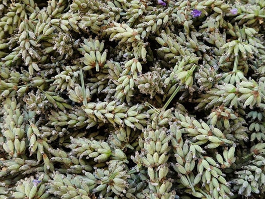 Tips for Managing Stress - Birdy & Bright