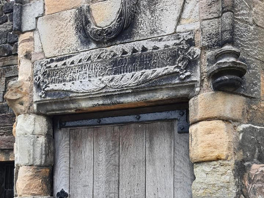 Moths - Birdy & Bright