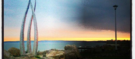 Now or Never - Birdy & Bright