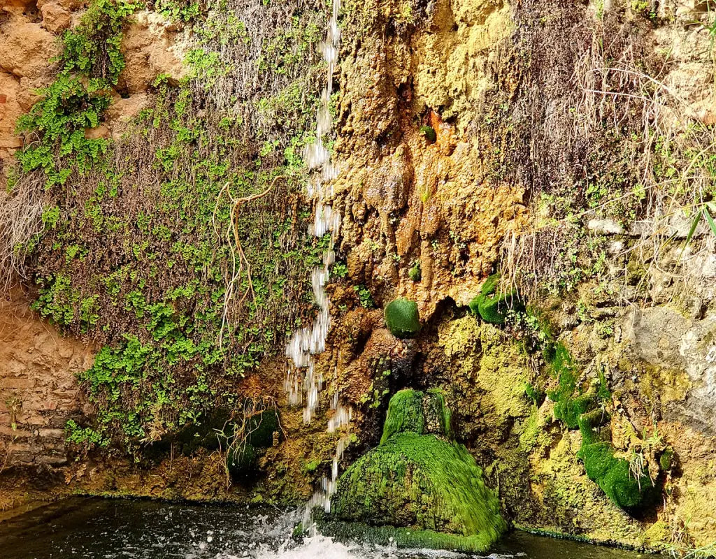 The Power of Little and Often: How Small Steps Lead to Big Joy - Birdy & Bright