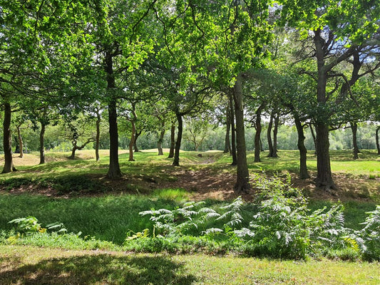 Maintaining Positive Mental Health - Birdy & Bright