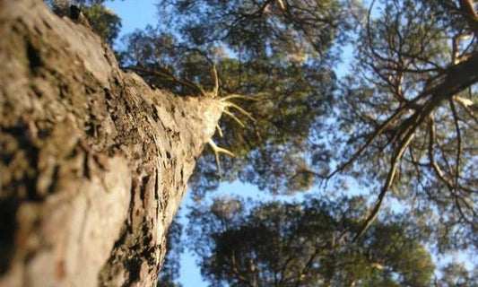 Well, hello there! - Birdy & Bright