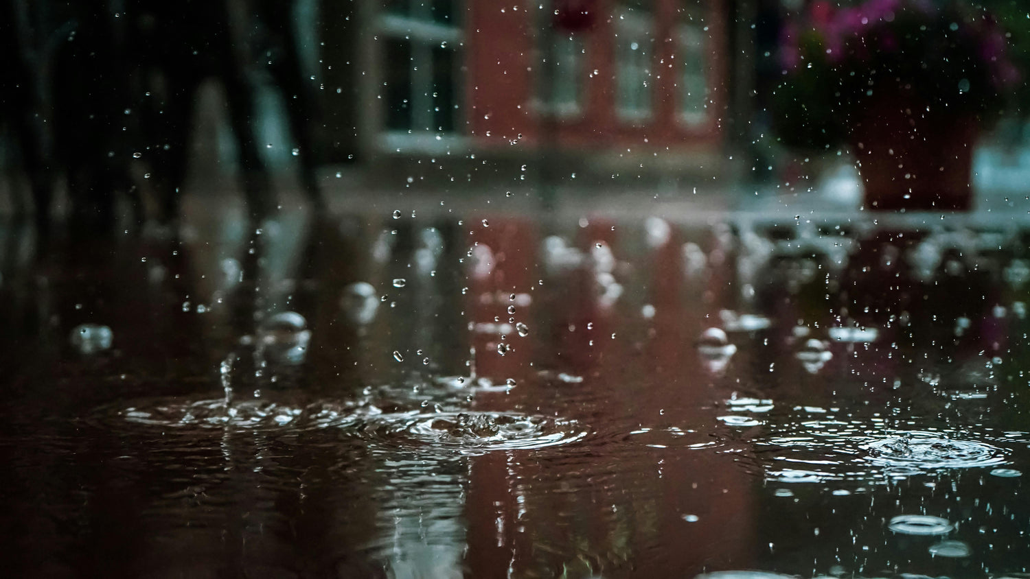 5 Happy Things to Do on a Rainy Day - Birdy & Bright