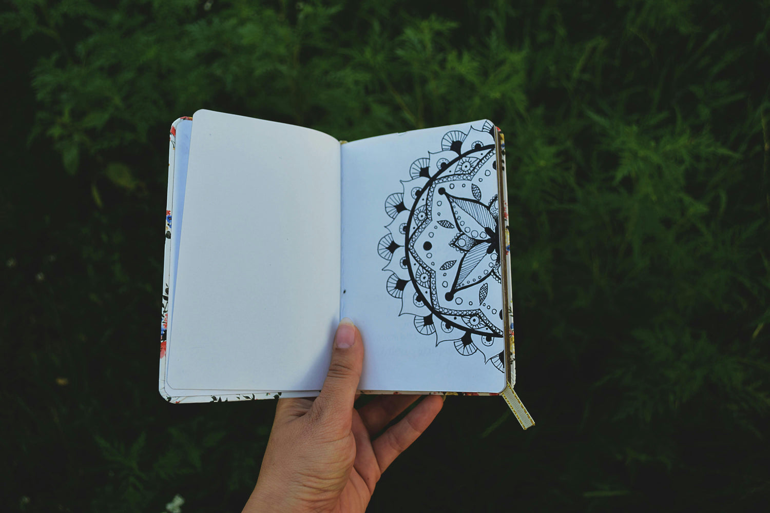 Patterns and Rituals: The Healing Power of Repetition - Birdy & Bright