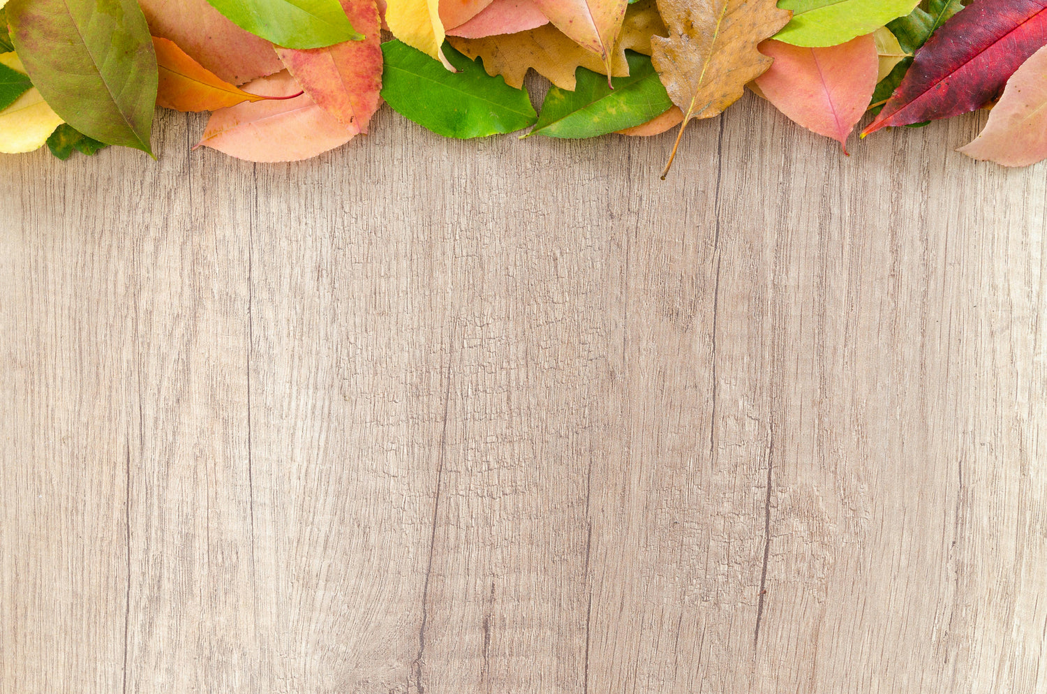 The Autumn Clean: Preparing Your Home and Heart for the Season Ahead