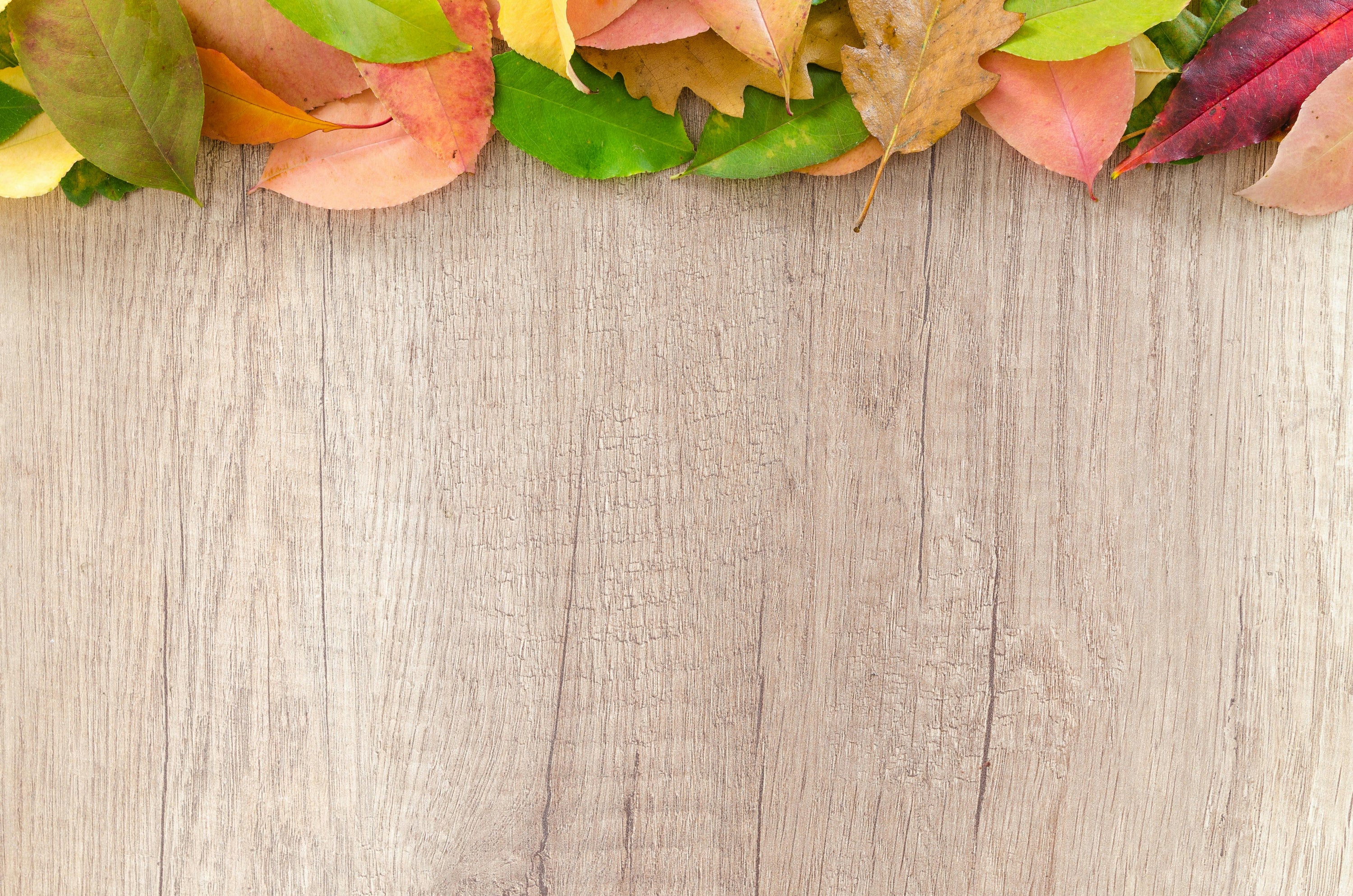 The Autumn Clean: Preparing Your Home and Heart for the Season Ahead - Birdy & Bright