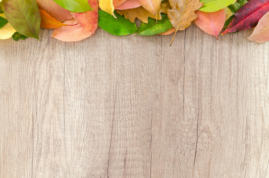 The Autumn Clean: Preparing Your Home and Heart for the Season Ahead - Birdy & Bright