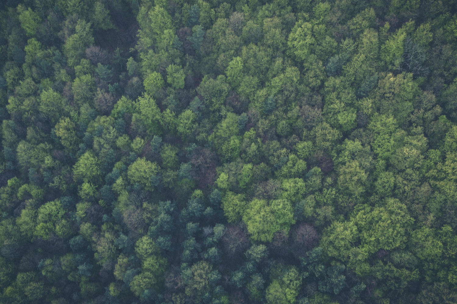 5 Calming Breath Techniques (and How They Help) - Birdy & Bright