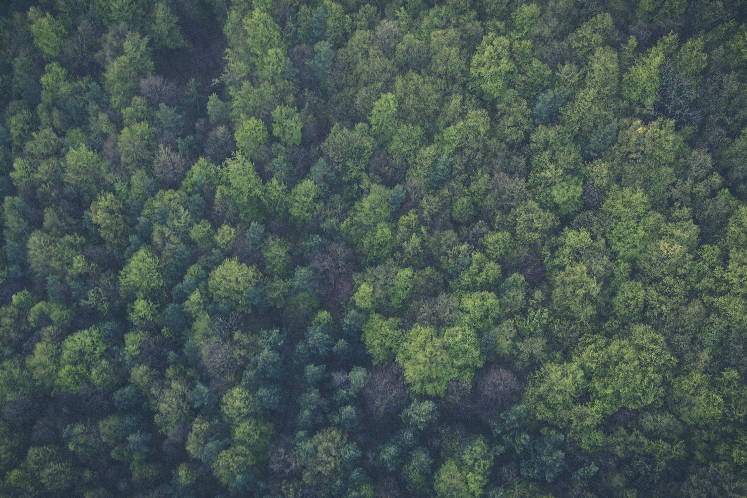 5 Calming Breath Techniques (and How They Help) - Birdy & Bright