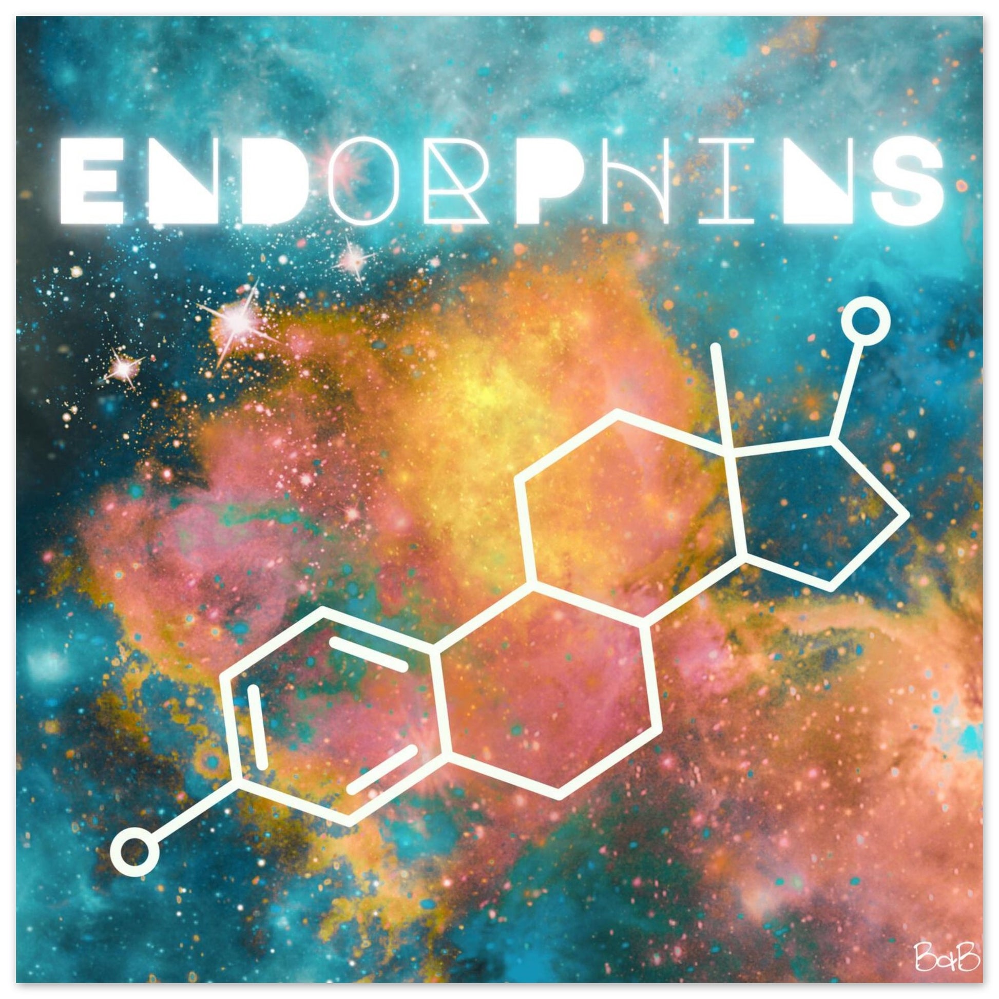 47cc6905-3904-4785-a19b-730fc4fb634c